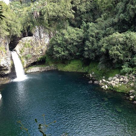 Le Beau Vallon 1- Jacuzzi Privatif Et Piscine Chauffee Partagee Saint-Benoît Exteriér fotografie
